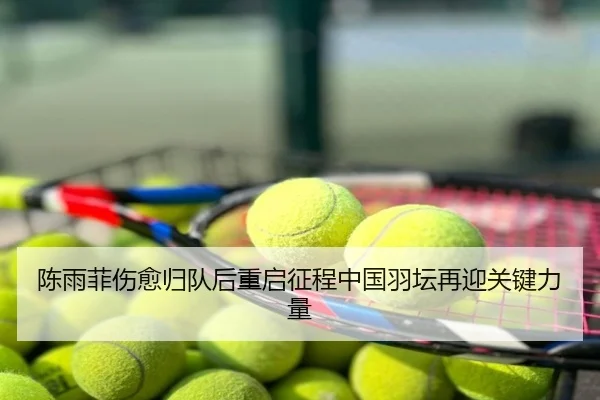 陈雨菲伤愈归队后重启征程中国羽坛再迎关键力量