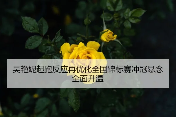 吴艳妮起跑反应再优化全国锦标赛冲冠悬念全面升温